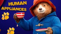 Bears Eye View on Human Appliances | Amazing Adventures | Paddington