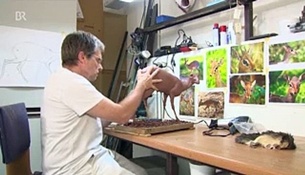 Tiere ausstopfen_ Präparationstechnischer Assistent _ Ausbildung _ Beruf-Wm_R_uqpWMY_x264