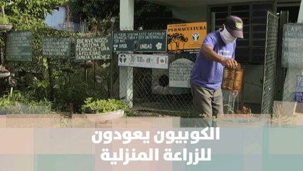 الكوبيون يعودون للزراعة المنزلية تحسبا للأسوأ بعد أزمة كورونا - كوبا