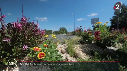 Sarthe : mobilisation pour économiser l'eau