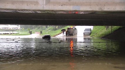 대전 갑천 만년교 유역 홍수주의보 해제...대전천 하상도로는 통제 / YTN