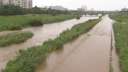 충북 비 피해 잇따라...나무 쓰러짐 등 10여 건 신고 / YTN