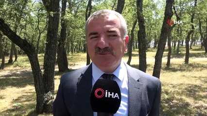Başkan Özdemir: "56 Parselin 56'sı da Fabrika İle Dolmuş Bir OSB Hayal Ediyoruz"
