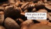 WhyNotCoffee - Free Tips, Recipes and Advice on How To Make A Perfect Cup Of Coffee