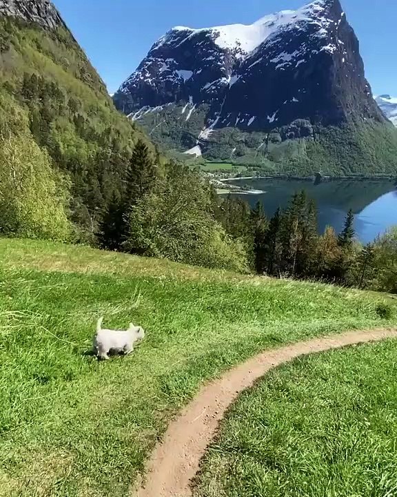 beautiful morning in norway