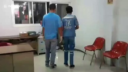 Monitor lizard caught after roaming into motorcycle shop to cool down