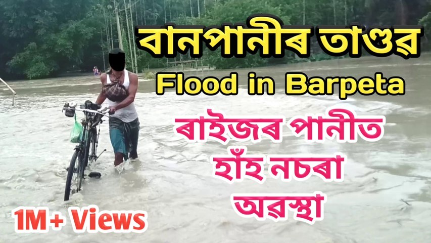 Flood, বানপানী, Assam Flood, Flood in Barpeta, Flood 2020, Banpani