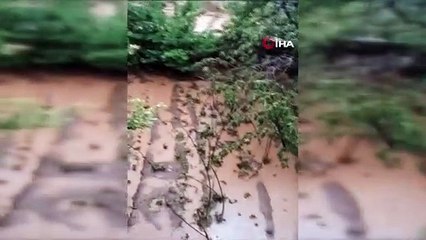 Ahlat’ta sel suları ekili alanlara ve sulama kanallarına zarar verdi