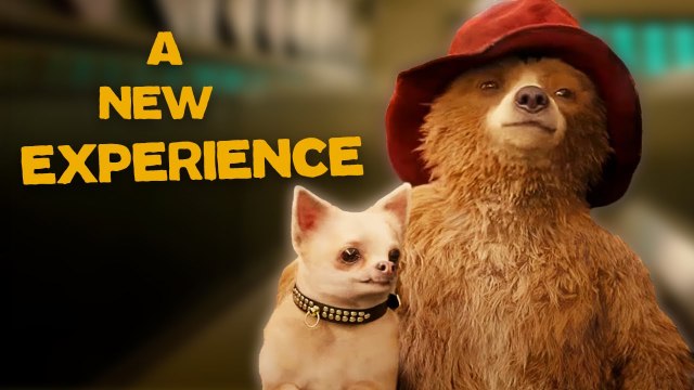 Taking the Tube Can be a Daunting Adventure | Amazing Adventures | Paddington