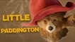 Young Paddington Is Rescued | Amazing Adventures | Paddington