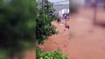Çayeli'nde şiddetli yağış nedeniyle dere taştı (5) - RİZE