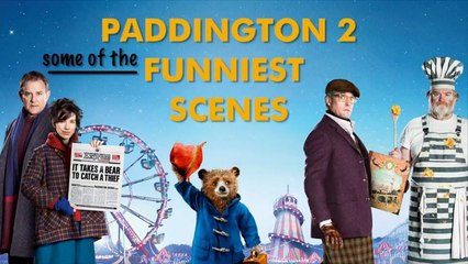 A Judge Has a Close Shave with Paddington | Amazing Adventures | Paddington