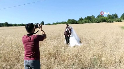 Ekin Tarlaları Yeni Evlenen Çiftler İçin Doğal Fotoğraf Platosu Haline Geldi