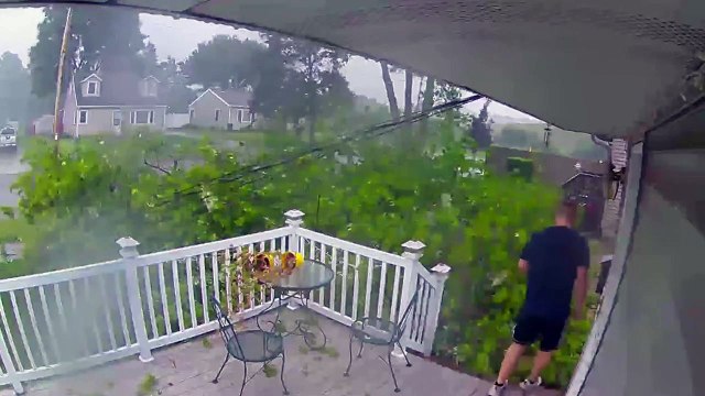 Il échappe de peu à la chute d'un arbre en pleine tempête... chanceux