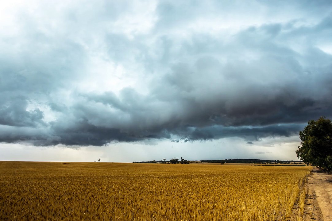 Goomalling Storm