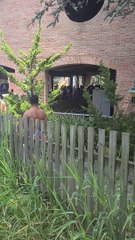 No Social Distancing At Hershey Park