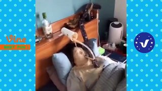 New Funny Videos 2020 ● People doing stupid things P99