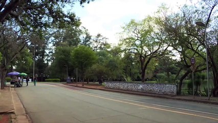 Ibirapuera reabre ao público