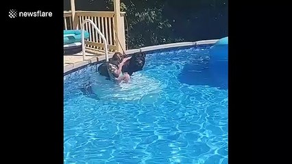 Little girl and big Rottweiler face off in pool race to cool off in Ohio