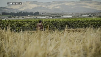 للقصة بقية- مخطط ضم الأغوار