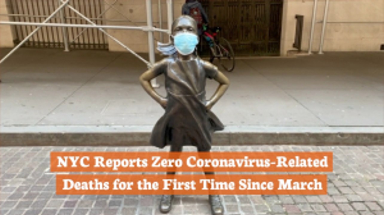 NYC Virus Update