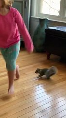 Daughter and Squirrel Playing Tag