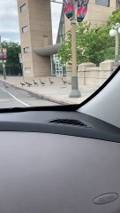 Hysterically Laughing at a Gaggle of Geese