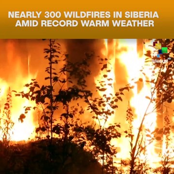 Nearly 300 Wildfires In Siberia Amid Record Warm Weather