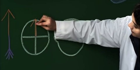 06. Visual Pathways Overview 🧠