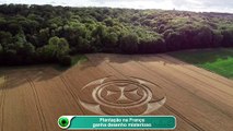 Plantação na França ganha desenho misterioso