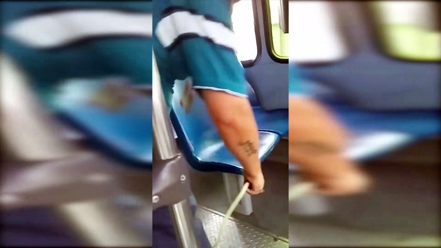 Cientos de camiones urbanos son sometidos a intensa sanitización