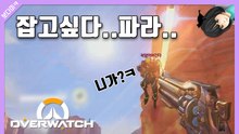 [피카TV] 잡고싶다 파라... 오버워치 (Overwatch)