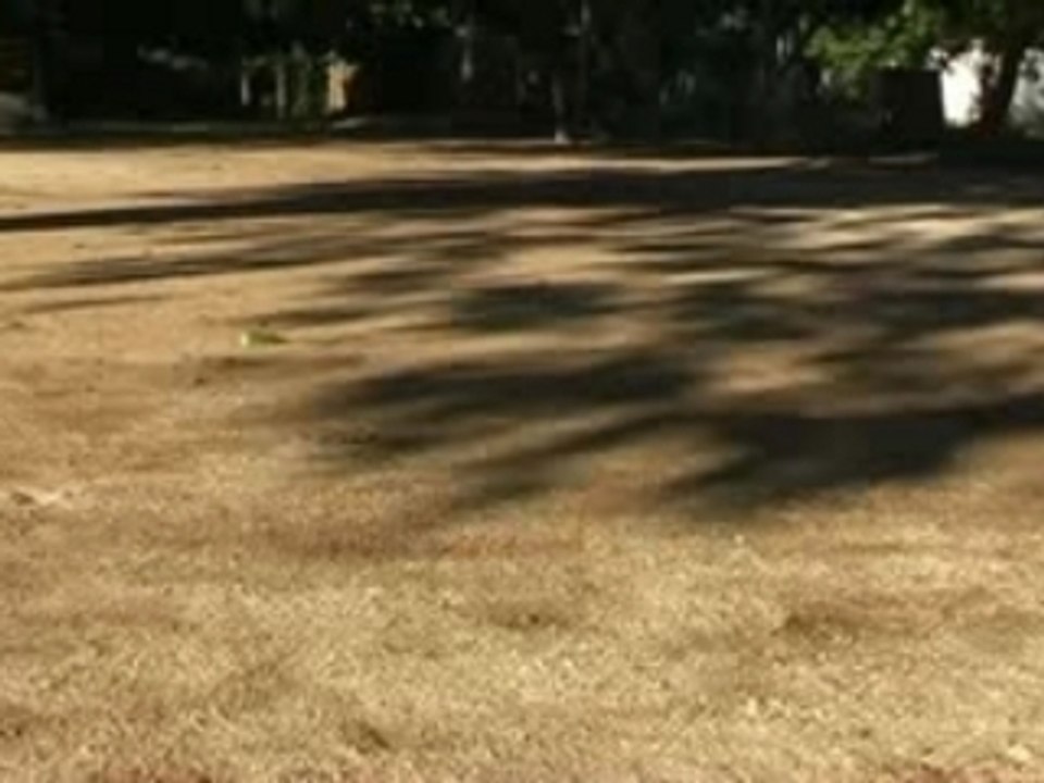 orphelinat light house phnom penh cambodge orphanage