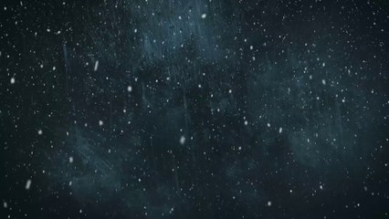 Snowflakes 002