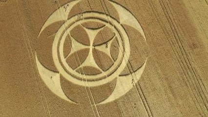 Kenapa Repot-repot Bikin Crop Circle?