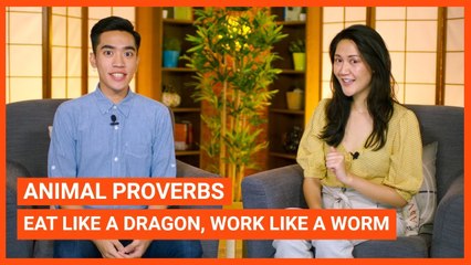 Animal Proverbs: Eat Like A Dragon, Work Like A Worm | Intermediate Lesson | ChinesePod (v)