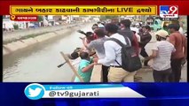 Cow rescued after falling into a canal , Ahmedabad