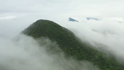 THIS WILL DEFINATELY WORK