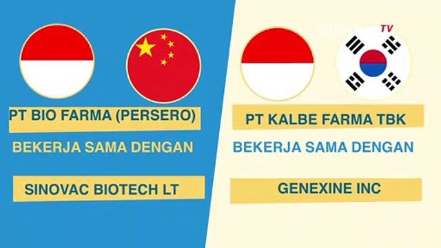 [INFO GRAFIS] Ini Target Presiden Jokowi Soal Vaksin Corona Indonesia