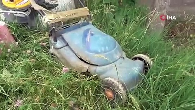 Çim biçme makinası alacak para bulamayan belediye başkanı tırpanı eline alıp ot biçti