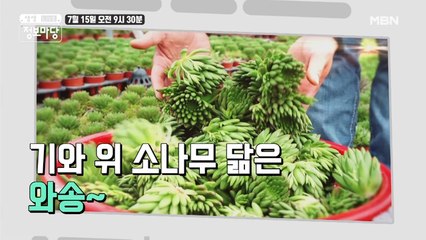 생생 정보마당 [675회] - 실속 있는 수요일
