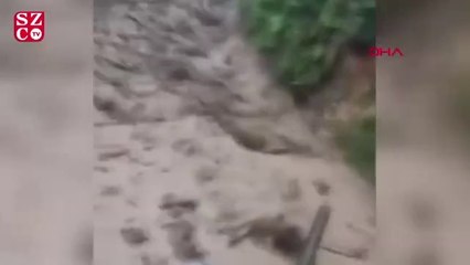 Sel anı kamerada