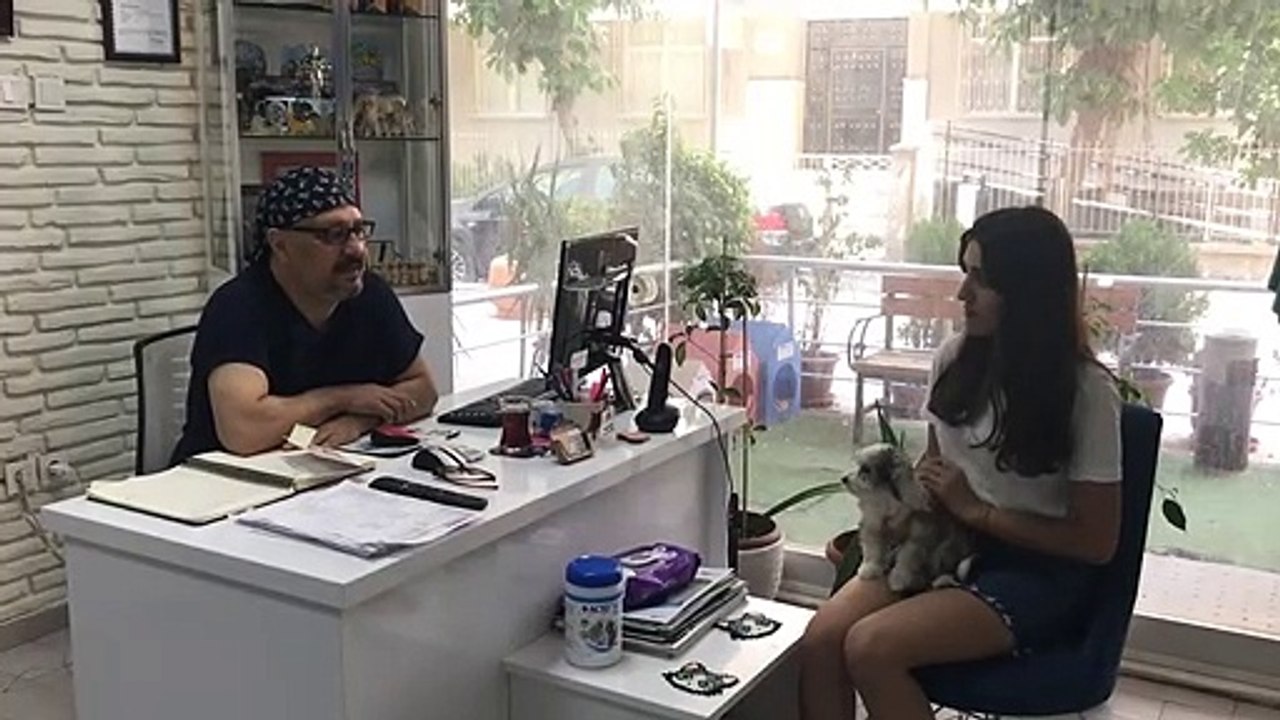 Köpekte göz sağlığı.