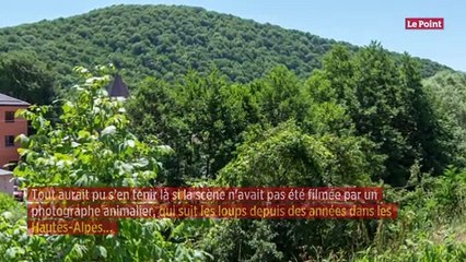 « Viens mouiller ta chemise ! » : un berger défie Hugo Clément