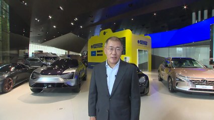 정의선 "2025년 전기차 100만대 판매...점유율 10% 이상 달성" / YTN