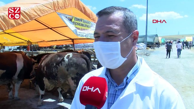 Bilim Kurulu üyesinden, kurban pazarında 'koronavirüs' uyarısı