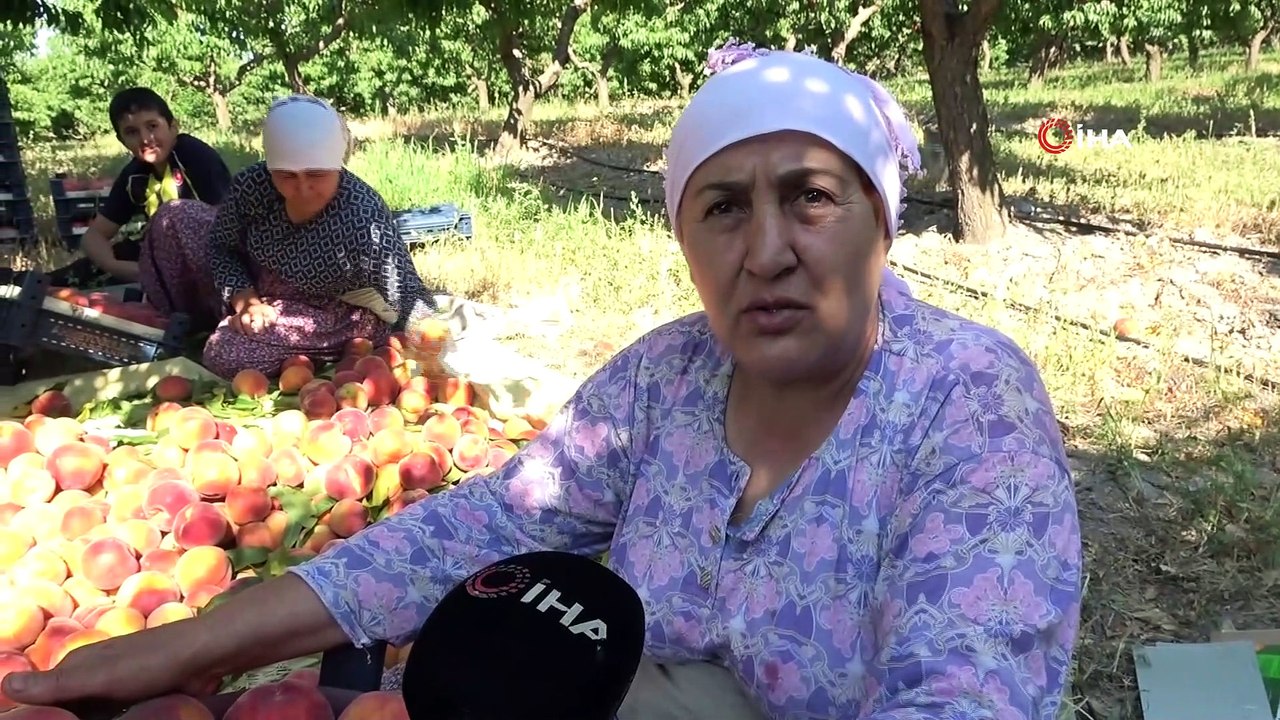 Şeftali tarlada 2 lira markette 8 lira