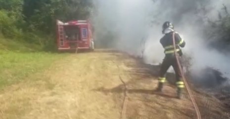 Longare (VI) - In fiamme scarti di vegetazione vicino vigneto (14.07.20)