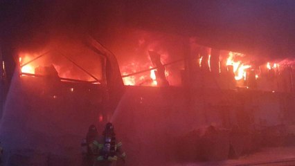 충남 태안 마늘 저장창고에서 불...마늘 7백 톤 피해 / YTN