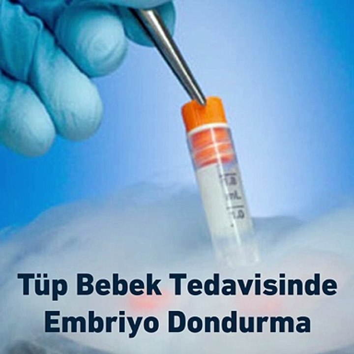Tüp bebek tedavisinde embriyo dondurma - www.tüpbebektedavisi.com